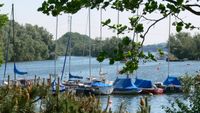 Segelboote im Hafen Walluf